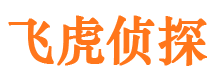 通山市私家侦探